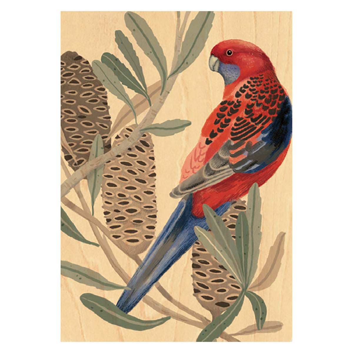 Wood Art Print A4 - Rosella with Banksia