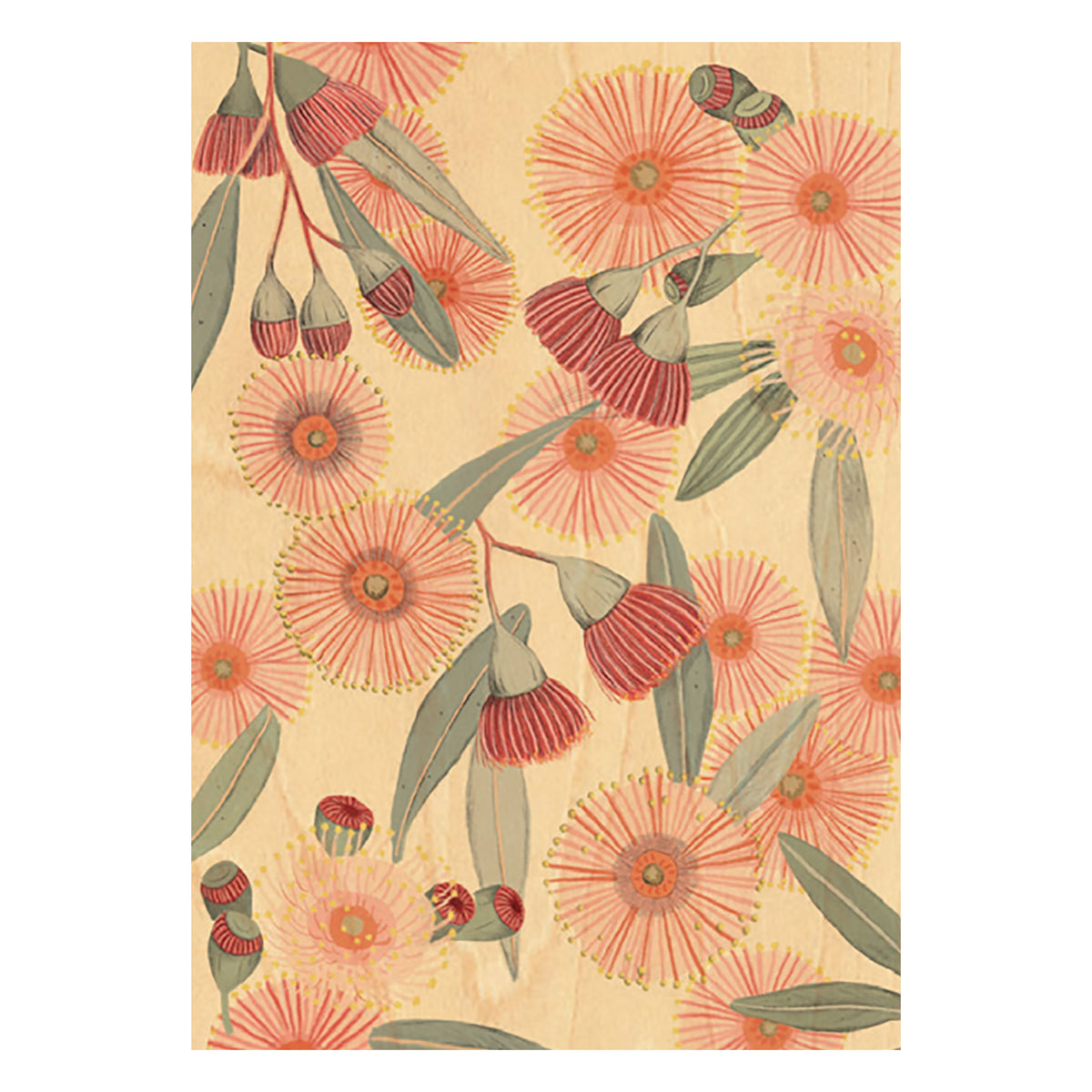 Wood Art Print A4 - Red Eucalyptus