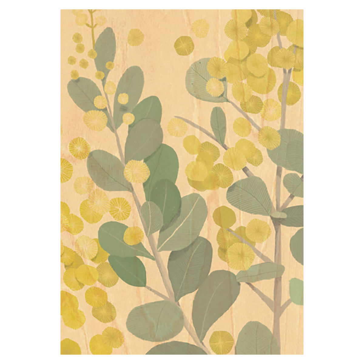 Wood Art Print A4 - Golden Wattle