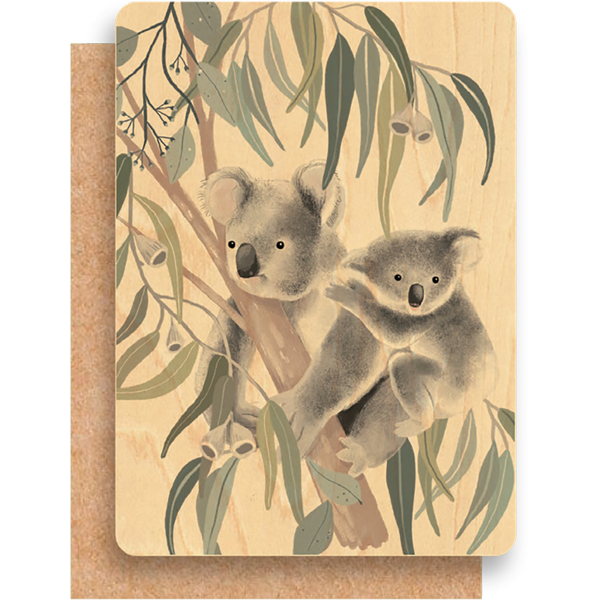 Koala Maple Wood Gift Pack