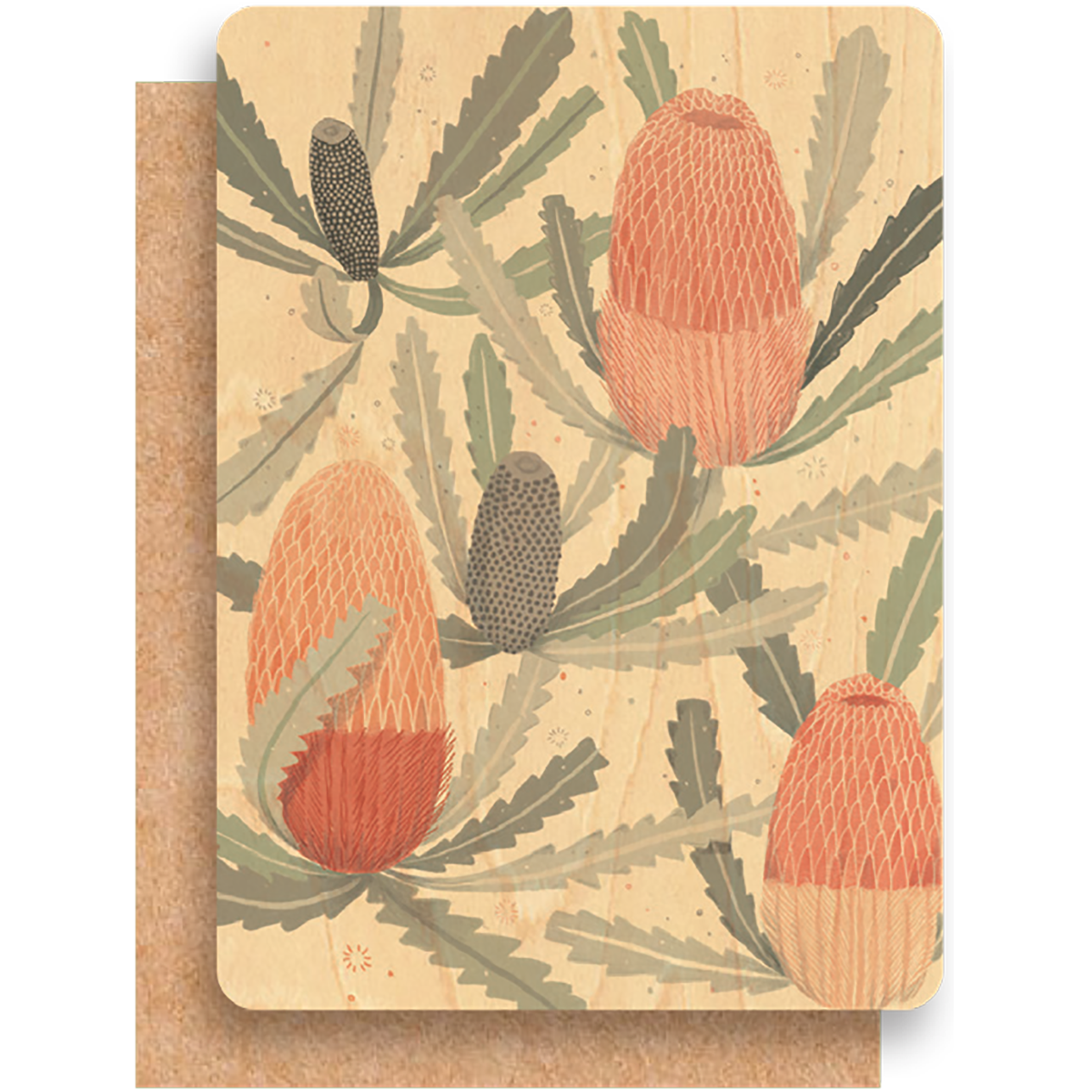 Wood Greeting Card - Bushy Banksia